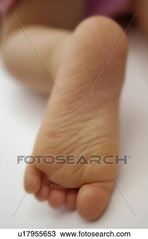 Close-up of baby girl's foot View Large Photo Image Stock Image - Close-up of baby girl's foot. Fotosearch