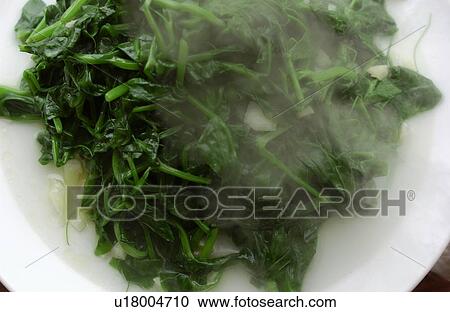 Stock Image - Cooked spinach on plate, close up. Fotosearch