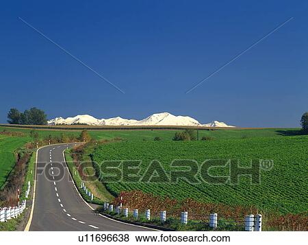 Stock Photo - Country Road in Green Field, Snowcapped Mountains in Background. Fotosearch