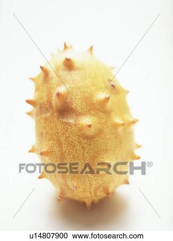 Durian fruit, white background View Large Photo Image Stock Image - Durian fruit, white background. Fotosearch