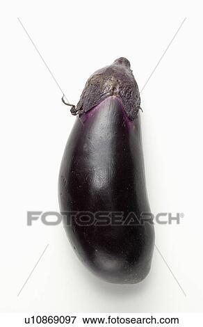 Egg Plant View Large Photo Image Stock Photo - Egg Plant. Fotosearch