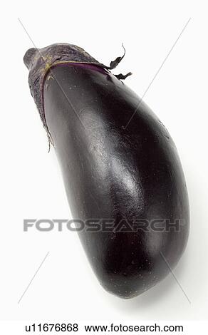Egg Plant View Large Photo Image Stock Photo - Egg Plant. Fotosearch