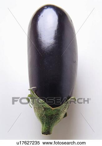 Egg Plant View Large Photo Image Stock Photography - Egg Plant. Fotosearch