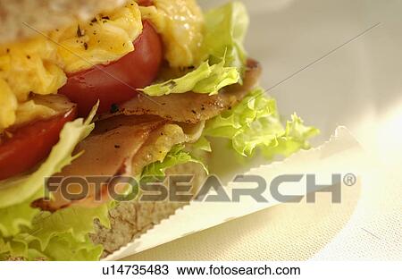 Egg, tomato and bacon sandwich View Large Photo Image Stock Image - Egg, tomato and bacon sandwich. Fotosearch