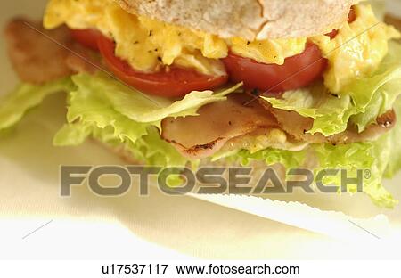 Egg, tomato and bacon sandwich View Large Photo Image Stock Photo - Egg, tomato and bacon sandwich. Fotosearch