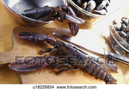 European lobster on cutting board View Large Photo Image Picture - European lobster on cutting board. Fotosearch