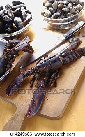 European lobster on cutting board View Large Photo Image Stock Photograph - European lobster on cutting board. Fotosearch