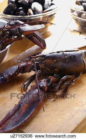European lobster on cutting board View Large Photo Image Stock Photograph - European lobster on cutting board. Fotosearch