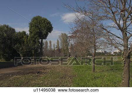 Stock Photo - Field and trees. Fotosearch