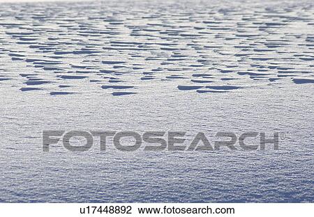 Field covered in snow View Large Photo Image Stock Image - Field covered in snow. Fotosearch