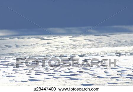 Field covered in snow View Large Photo Image Stock Image - Field covered in snow. Fotosearch