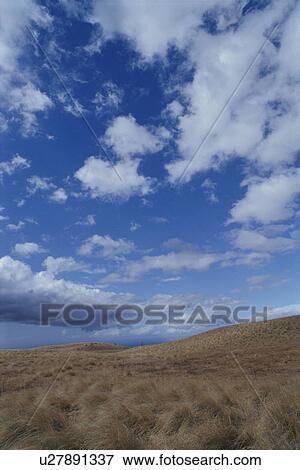 Field View Large Photo Image Stock Photo - Field. Fotosearch
