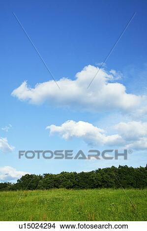Picture - Field under blue sky. Fotosearch