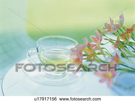 Flower and cup of herb tea on table View Large Photo Image Stock Photograph - Flower and cup of herb tea on table. Fotosearch