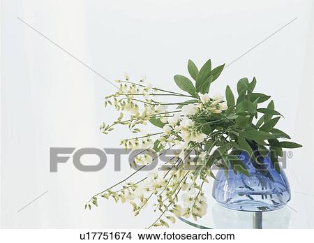 Flower arrangement View Large Photo Image Picture - Flower arrangement. Fotosearch