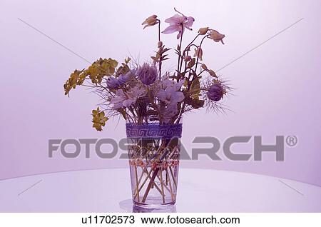 Flower arrangement View Large Photo Image Stock Image - Flower arrangement. Fotosearch