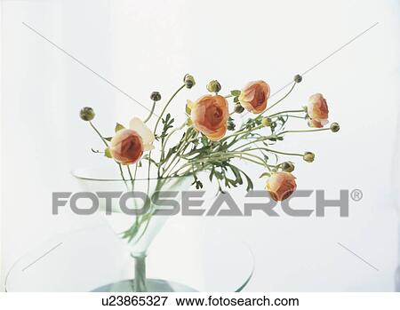 Flower arrangement View Large Photo Image Stock Photo - Flower arrangement. Fotosearch