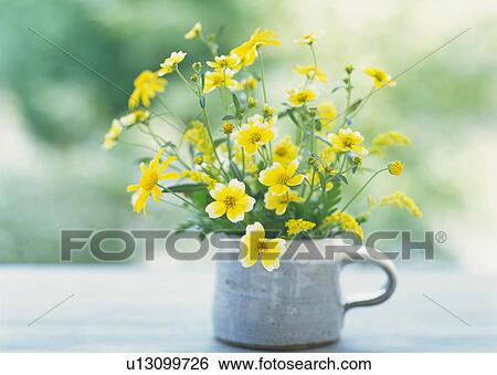 Flower Arrangement View Large Photo Image Stock Photograph - Flower Arrangement. Fotosearch