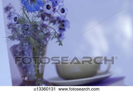 Flower in vase and coffee cup View Large Photo Image Stock Image - Flower in vase and coffee cup. Fotosearch