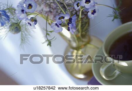 Flower in vase and coffee cup View Large Photo Image Stock Image - Flower in vase and coffee cup. Fotosearch
