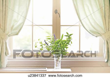 Flower in vase by the window View Large Photo Image Stock Photo - Flower in vase by the window. Fotosearch