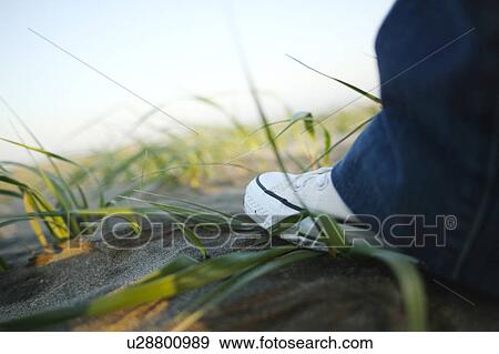 Stock Photo - Foot on sand. Fotosearch
