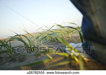 Stock Photography - Foot on sand. Fotosearch