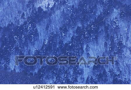 Forest in winter View Large Photo Image Stock Image - Forest in winter. Fotosearch