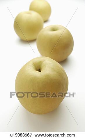 Four Pears Placed in Line View Large Photo Image Stock Photo - Four Pears Placed in Line. Fotosearch