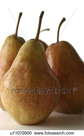 Four Pears View Large Photo Image Stock Image - Four Pears. Fotosearch