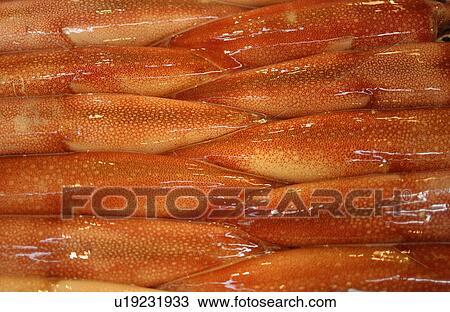 Stock Image - Full Frame of Cuttlefish . Fotosearch