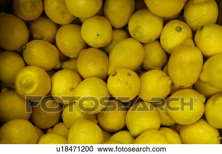 Full Frame of Lemon View Large Photo Image Stock Image - Full Frame of Lemon. Fotosearch