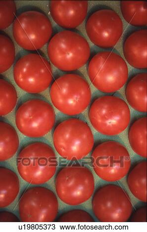 Stock Image - Full Frame of Tomato. Fotosearch
