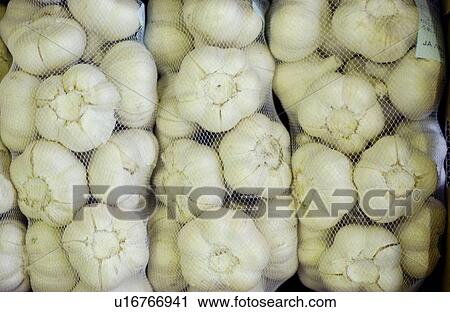Garlic Packed in Net View Large Photo Image Stock Image - Garlic Packed in Net. Fotosearch