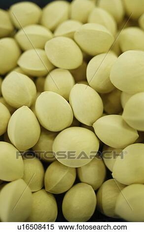 Ginkgo nuts View Large Photo Image Stock Photography - Ginkgo nuts. Fotosearch