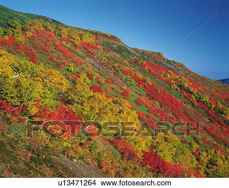 Picture - Ginsendai, Hokkaido Prefecture, Japan. Fotosearch