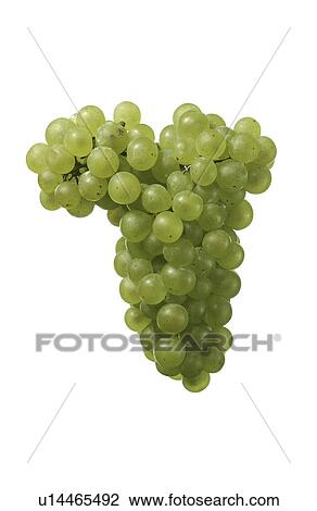 Stock Image - Grape. Fotosearch