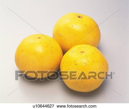 Stock Photo - Grapefruits. Fotosearch