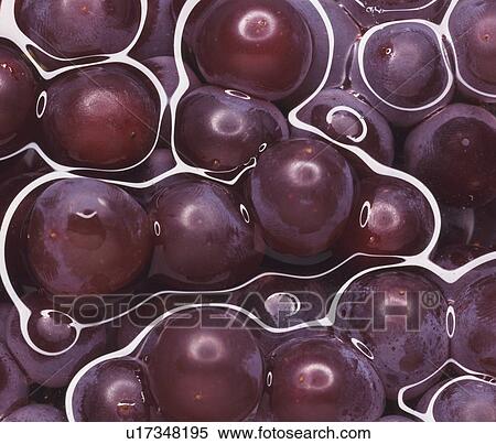 Grapes in water View Large Photo Image Stock Photography - Grapes in water. Fotosearch