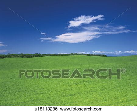 Grass field, Hokkaido Prefecture, Japan View Large Photo Image Stock Photograph - Grass field, Hokkaido Prefecture, Japan. Fotosearch