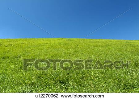 Grass field View Large Photo Image Stock Image - Grass field. Fotosearch
