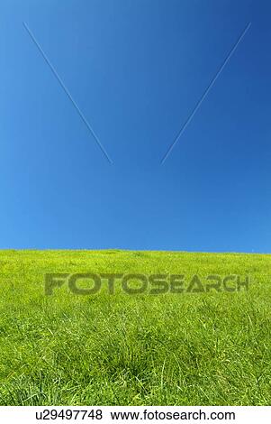 Stock Photo - Grass field. Fotosearch