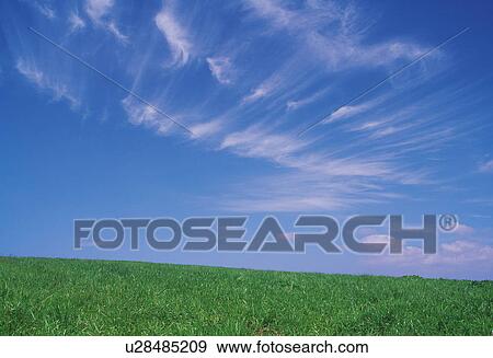 Stock Photo - Grassfield. Fotosearch