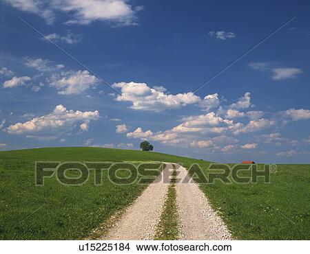Grassland and Street View Large Photo Image Picture - Grassland and Street. Fotosearch