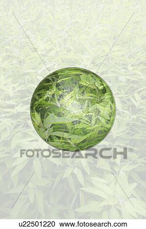 Green Grass in Circle View Large Photo Image Stock Image - Green Grass in Circle. Fotosearch
