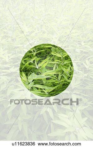Green Grass in Circle View Large Photo Image Stock Photograph - Green Grass in Circle. Fotosearch