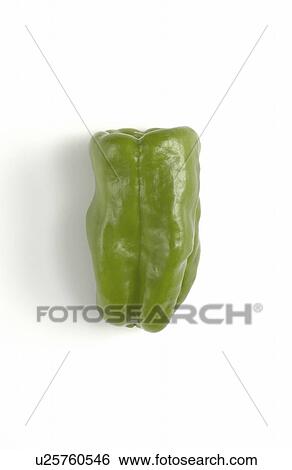 Stock Photograph - Green Pepper. Fotosearch