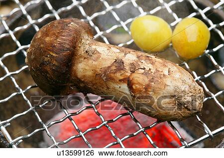 Stock Photograph - Grilled matsutake mushroom and gingko. Fotosearch