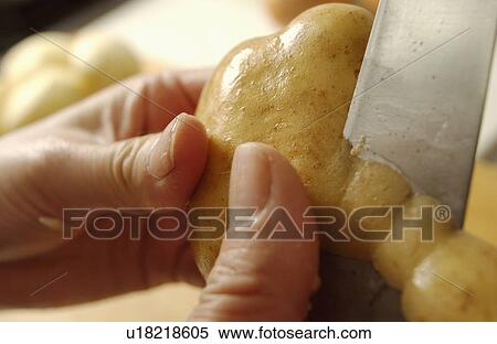 Hand peeling potato View Large Photo Image Stock Photography - Hand peeling potato. Fotosearch