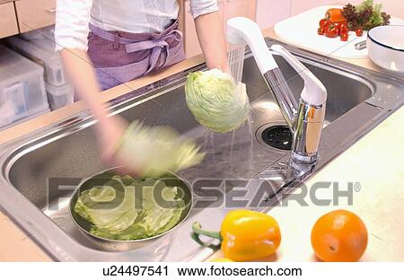 Hand washing lettuce View Large Photo Image Stock Image - Hand washing lettuce. Fotosearch